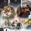 Cão e Gato