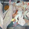 "Meat Shop" (triptych), Ho Wing Wa, Ernest, Acrylic on canvas, 100 x 240 cm, 2024
