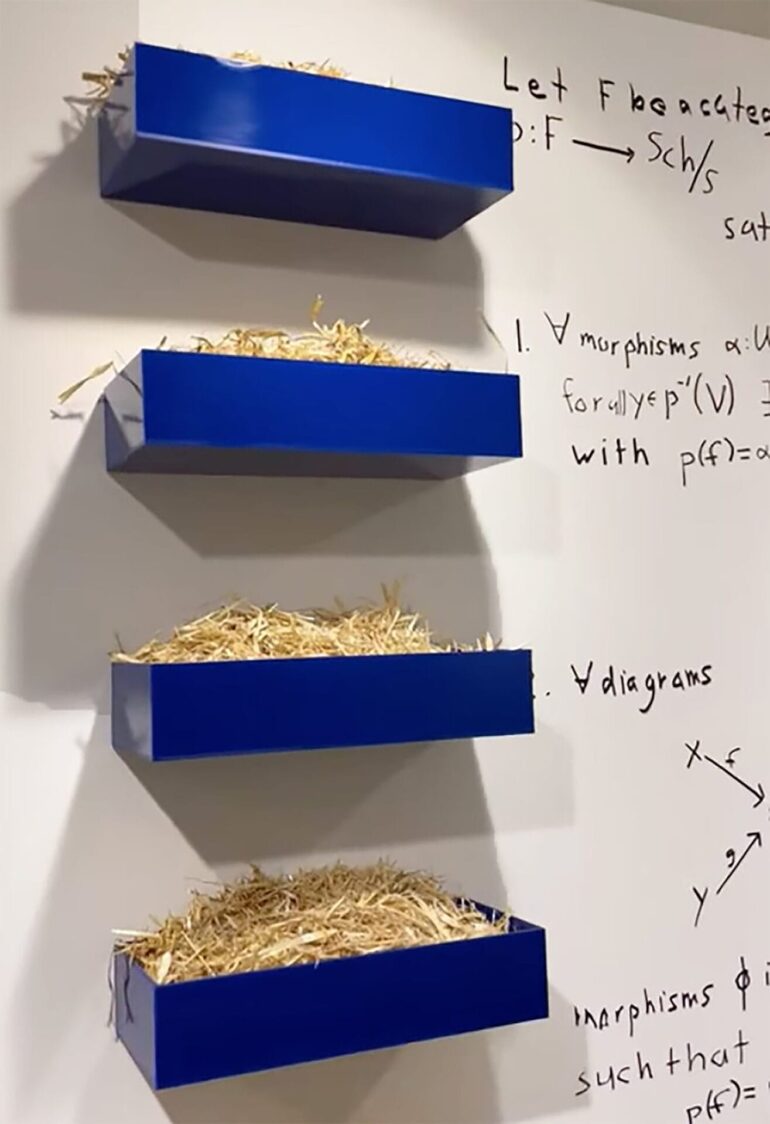 Matemática e Arte se Encontram: Nelson Saiers Expõe no The Canvas 3.0