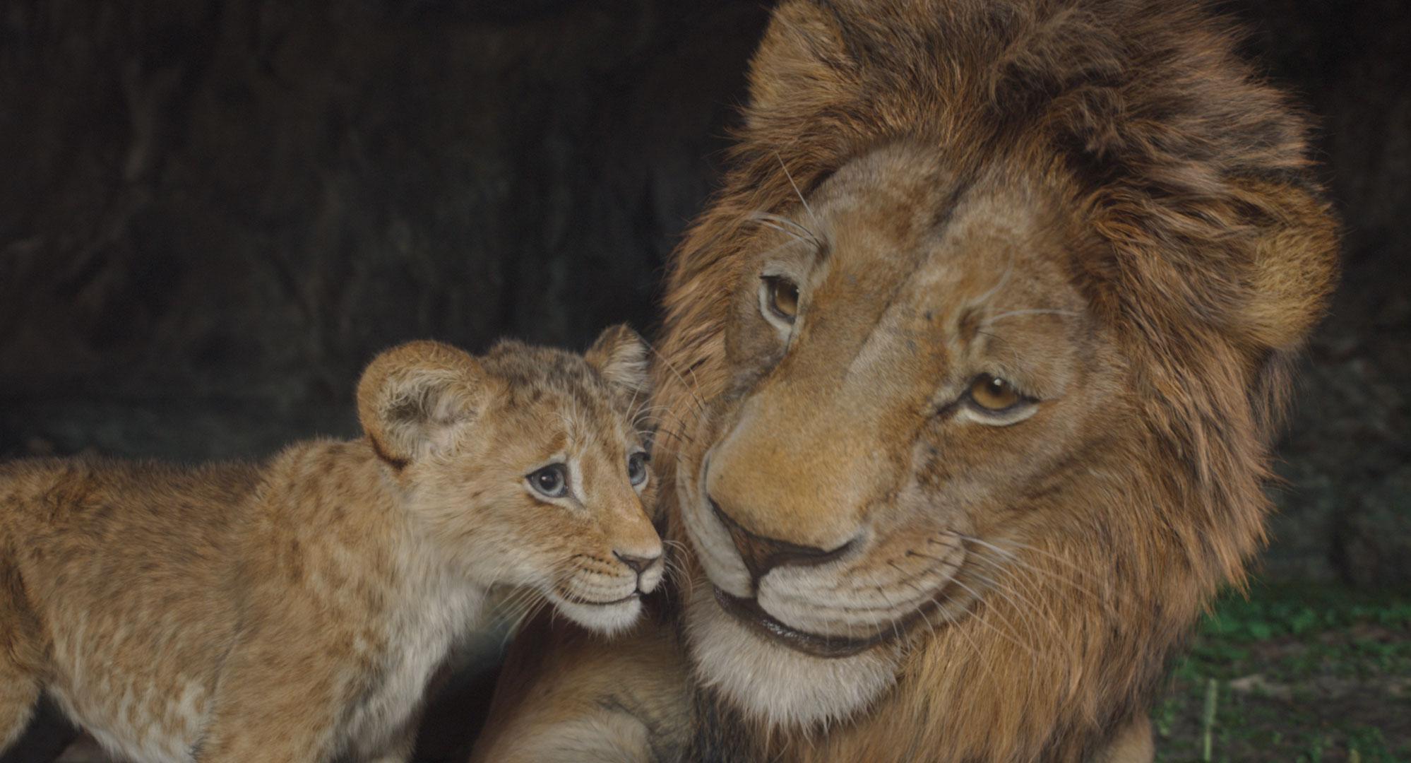 Mufasa: O Rei Leão