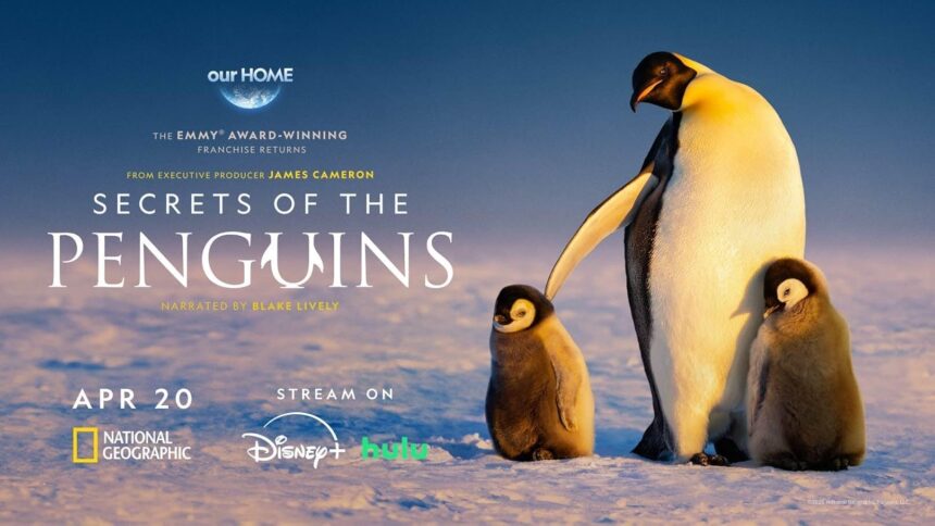 Secrets of the Penguins