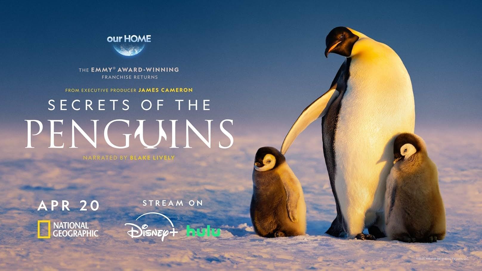 Segredos dos Pinguins
