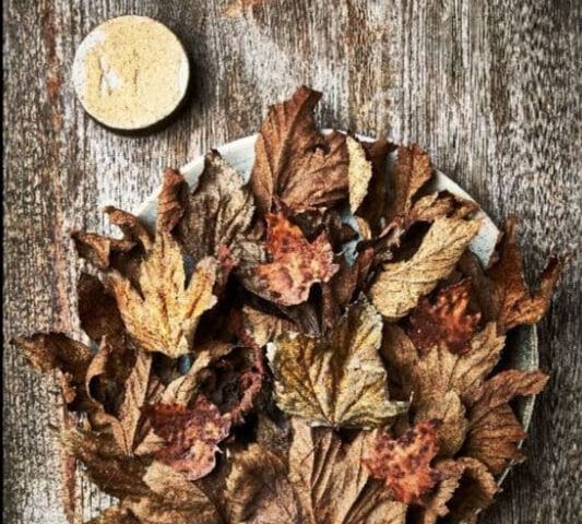 Restaurant Koks, Faroe Islands, Crispy celeriac with fermented celeriac powder and mushroom emulsion, Credit: Claes Bech Poulsen.