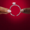 O Ultimato: Queer Love – Netflix