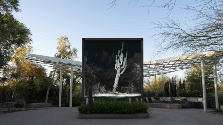 FRAMERATE: Desert Pulse – Uma Interrogação Tecnológica do Deserto de Sonora