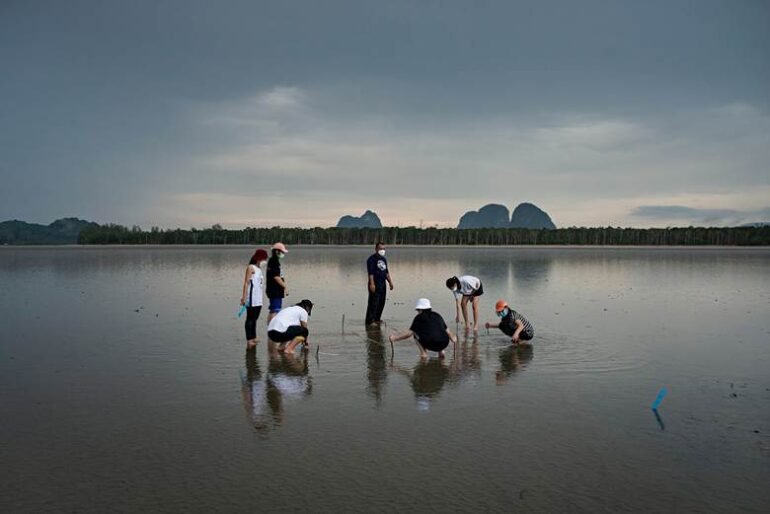 The Current em Stowe Apresenta Análise Fotográfica de Giacomo d’Orlando